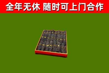 贡觉烟酒回收海参.jpg